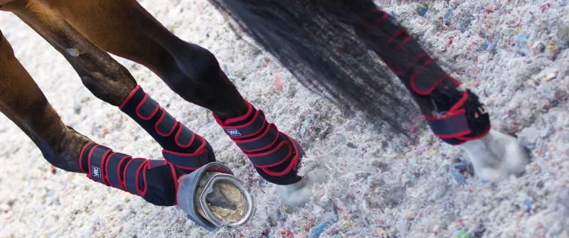 Woof Wear Training Wrap - Black-2